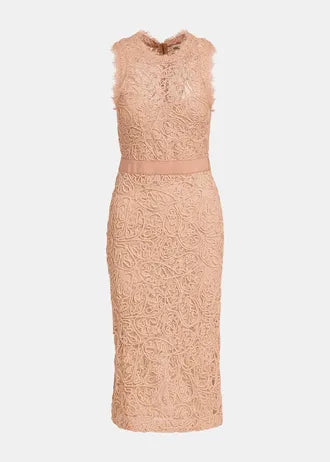 Essential Antwrep pink lace midi dress